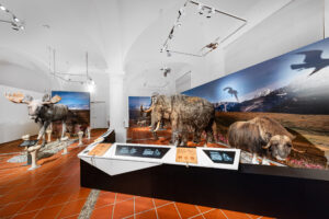 Eine Gruppe von Tieren, die in einem Museum ausgestellt sind